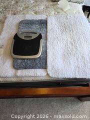 MaxSold Auction: Set of 2 White & Gray Microfiber Shag Bath Mats 16 x 26 in - Aurora (Colorado, USA) SELLER MANAGED Estate Sale Online Auction - East Lasalle Place