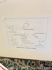 MaxSold Auction: Mixed Lot of 6-10 Large Art Prints & Posters (Wildlife, Botanical) - Saanich (British Columbia, Canada) PARTNER MANAGED Moving Online Auction - Arbutus Road (CONDO)