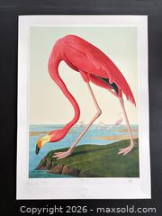 MaxSold Auction: Audubon Birds of America Collection “Flamingo” 19.5 x 27 inches Stunning Colours !! - Prince Edward County(Ontario, Canada) PARTNER MANAGED Reseller Online Auction - Loyalist Parkway