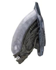 MaxSold Auction: NECA Alien Xenomorph Life-Size Wall-Mounted Bust - Los Angeles (California, USA) PARTNER MANAGED Moving Online Auction - West 36th Street (CONDO)