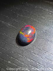 MaxSold Auction: Intense black opal - Toronto (Ontario, Canada) PARTNER MANAGED Reseller Online Auction - Gerrard Street East