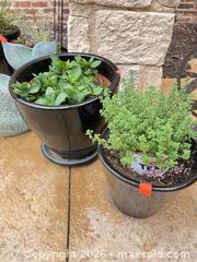 MaxSold Auction: Lot of 9 Ceramic & Terracotta Potted Plants with Saucers - Frisco (Texas, USA) PARTNER MANAGED Downsizing Online Auction - Miramar Drive