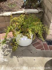 MaxSold Auction: Set of 3 White Concrete Outdoor Planters (Medium) - Los Angeles (California, USA) PARTNER MANAGED Downsizing Online Auction - Sapphire Drive