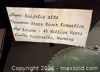 MaxSold Auction: Earthy Boho Jewelry Mix - Loomis (California, USA) PARTNER MANAGED Moving Online Auction - Brennans Road