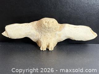 MaxSold Auction: Old Inuit Carved Whale Vertebrae Of Owl. - Toronto (Ontario, Canada) SELLER MANAGED Estate Sale Online Auction - Annette Street