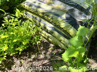 MaxSold Auction: Cedar Black Mulch, 42.5 L Bags, 10+ Bags - Campbellford (Ontario, Canada) PARTNER MANAGED Estate Sale Online Auction - Garry Street