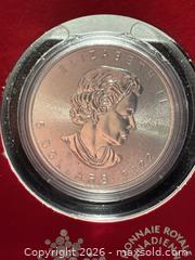 MaxSold Auction: YEAR of the TIGER Treasured Maple Leaf 2022 CANADA 1oz .9999 Silver $5 Coin - Aurora (Ontario, Canada) SELLER MANAGED Estate Sale Online Auction -  Closs Square