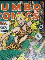 MaxSold Auction: Jumbo Comics - Sheena No. 125 (July vintage) - Ottawa (Ontario, Canada) PARTNER MANAGED Downsizing Online Auction - Fallowfield Road