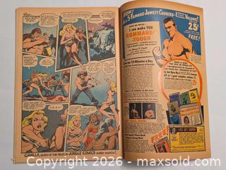 MaxSold Auction: Jungle Comics No. 92 (Aug) - Ottawa (Ontario, Canada) PARTNER MANAGED Downsizing Online Auction - Fallowfield Road
