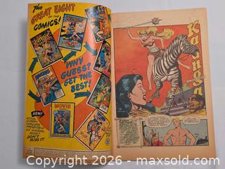 MaxSold Auction: Jungle Comics No. 93 (Sept., 1940s-1950s) - Ottawa (Ontario, Canada) PARTNER MANAGED Downsizing Online Auction - Fallowfield Road
