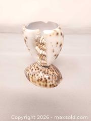 MaxSold Auction: Carved Shell Art With Seahorse - Toronto (Ontario, Canada) SELLER MANAGED Estate Sale Online Auction - Swanwick Avenue