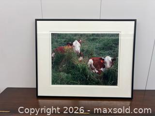 MaxSold Auction: Framed original photograph of 2 good cows - Mississauga (Ontario, Canada) SELLER MANAGED Estate Sale Online Auction - Matheson Boulevard East (STORAGE)