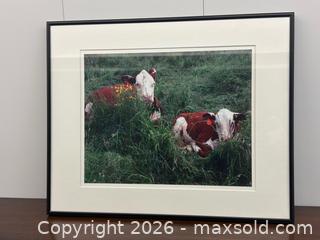 MaxSold Auction: Framed original photograph of 2 good cows - Mississauga (Ontario, Canada) SELLER MANAGED Estate Sale Online Auction - Matheson Boulevard East (STORAGE)