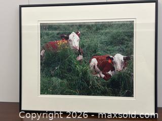 MaxSold Auction: Framed original photograph of 2 good cows - Mississauga (Ontario, Canada) SELLER MANAGED Estate Sale Online Auction - Matheson Boulevard East (STORAGE)