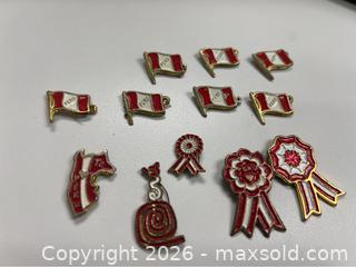 MaxSold Auction: 12 Traditional Peruvian Metal Enamel Lapel Pins Collection (Shipping Available) - Campbell (California, USA) SELLER MANAGED Downsizing Online Auction - Dell Avenue 