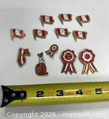 MaxSold Auction: 12 Traditional Peruvian Metal Enamel Lapel Pins Collection (Shipping Available) - Campbell (California, USA) SELLER MANAGED Downsizing Online Auction - Dell Avenue 