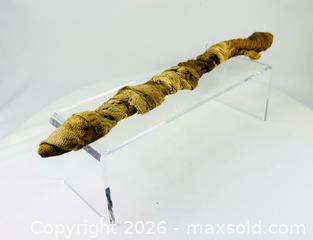 MaxSold Auction: Ancient Egyptian Crocodile Mummy | X-Ray Verified | Authentic Animal Votive Offering | 664–100 BCE - Maxsold Signature - Museum-Quality Artifacts, Ancient Antiquities and Collector Finds (CAN and US Shipping)