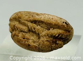MaxSold Auction: Authentic Egyptian | Carved Steatite Scarab | New Kingdom to Late Period | Circa 1500–600 BC - Maxsold Signature - Museum-Quality Artifacts, Ancient Antiquities and Collector Finds (CAN and US Shipping)