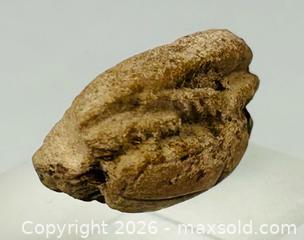 MaxSold Auction: Authentic Egyptian | Carved Steatite Scarab | New Kingdom to Late Period | Circa 1500–600 BC - Maxsold Signature - Museum-Quality Artifacts, Ancient Antiquities and Collector Finds (CAN and US Shipping)