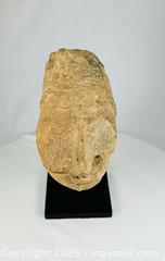 MaxSold Auction: Terracotta Head Fragment | Bura Culture | Circa 300-1100 CE - Maxsold Signature - Museum-Quality Artifacts, Ancient Antiquities and Collector Finds (CAN and US Shipping)