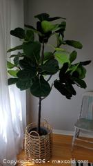 MaxSold Auction: Fiddle Leaf Fig Faux Tree with Woven Basket B - Ajax (Ontario, Canada) Moving Online Auction - Angier Crescent