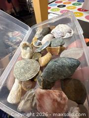 MaxSold Auction: Assorted Sea Shells and Beach Rocks Mixed Lot (6–15) - Hamilton (Ontario, Canada) SELLER MANAGED Downsizing Online Auction - Kensington Avenue North