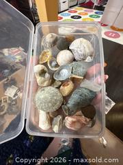 MaxSold Auction: Assorted Sea Shells and Beach Rocks Mixed Lot (6–15) - Hamilton (Ontario, Canada) SELLER MANAGED Downsizing Online Auction - Kensington Avenue North