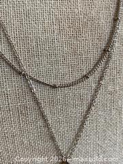 MaxSold Auction: Connected Double Chain Necklace With Polished Tear Drop Pendant - Toronto (Ontario, Canada) SELLER MANAGED Downsizing Online Auction - O'connor Drive (CONDO)