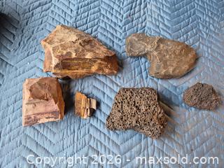 MaxSold Auction: Mixed Petrified Wood, Vesicular Basalt & Iron-Rich Rock Lot - Victoria (British Columbia, Canada) SELLER MANAGED Downsizing Online Auction - Fulton Road Fulton Road
