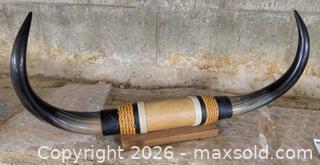 MaxSold Auction: Leather-Wrapped Longhorn Wall Mount on Wooden Base A - Duxbury (Massachusetts, USA) PARTNER MANAGED Downsizing Online Auction - King Caesar Road