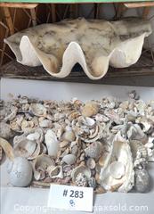 MaxSold Auction: Giant Clam Shell w/ Shells & Corals - North Vancouver (British Columbia, Canada) PARTNER MANAGED Estate Sale Online Auction - E Braemar Road
