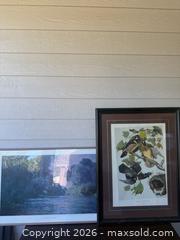 MaxSold Auction: John James Audubon Framed Print — Summer or Wood Duck (No. 42) - Citrus Heights (California, USA) SELLER MANAGED Downsizing Online Auction - Brook Dale Drive
