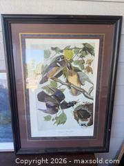 MaxSold Auction: John James Audubon Framed Print — Summer or Wood Duck (No. 42) - Citrus Heights (California, USA) SELLER MANAGED Downsizing Online Auction - Brook Dale Drive
