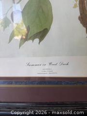 MaxSold Auction: John James Audubon Framed Print — Summer or Wood Duck (No. 42) - Citrus Heights (California, USA) SELLER MANAGED Downsizing Online Auction - Brook Dale Drive