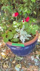MaxSold Auction: Planter pot  - Sidney (British Columbia, Canada) PARTNER MANAGED Moving Online Auction - Third Street