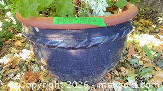 MaxSold Auction: Planter pot  - Sidney (British Columbia, Canada) PARTNER MANAGED Moving Online Auction - Third Street