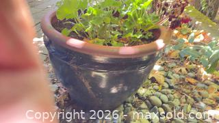 MaxSold Auction: Planter pot  - Sidney (British Columbia, Canada) PARTNER MANAGED Moving Online Auction - Third Street