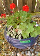 MaxSold Auction: Planter pot  - Sidney (British Columbia, Canada) PARTNER MANAGED Moving Online Auction - Third Street