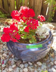 MaxSold Auction: Planter pot  - Sidney (British Columbia, Canada) PARTNER MANAGED Moving Online Auction - Third Street