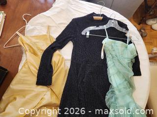 MaxSold Auction: Lot of Multiple Formal Dresses (Sizes 8 & Mixed) - Toronto (Ontario, Canada) SELLER MANAGED Downsizing Online Auction - Fisherville Road