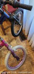 MaxSold Auction: Two Children's Bikes - Raleigh and Disney Character - Toronto (Ontario, Canada) SELLER MANAGED Downsizing Online Auction - Fisherville Road