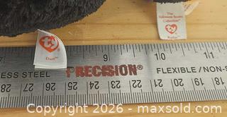 MaxSold Auction: Beanie Boo bats Dart and Radar Keychain mini - Toronto (Ontario, Canada) SELLER MANAGED Moving Online Auction -  Roncesvalles Avenue (CONDO)
