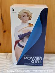 MaxSold Auction: DC Comics Power Girl Figure Mint Limited Ed Numbered  - Kingston (Ontario, Canada) SELLER MANAGED Downsizing Online Auction - Woodbine Road