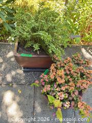 MaxSold Auction: Pair of Medium Ceramic/Terracotta Pots with Saucers - Oak Bay (British Columbia, Canada) PARTNER MANAGED Moving Online Auction - Victoria Avenue