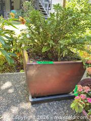 MaxSold Auction: Pair of Medium Ceramic/Terracotta Pots with Saucers - Oak Bay (British Columbia, Canada) PARTNER MANAGED Moving Online Auction - Victoria Avenue