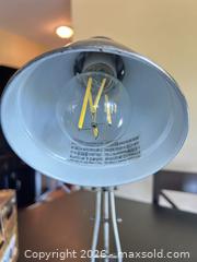 MaxSold Auction: Brushed Nickel Adjustable Metal Desk Lamp with LED Bulb - Toronto (Ontario, Canada) SELLER MANAGED Estate Sale Online Auction - Burnhamthorpe Crescent (CONDO)