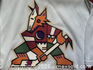 MaxSold Auction: CCM Phoenix/Arizona Coyotes Men's Medium Hockey Jersey - Ottawa (Ontario, Canada) PARTNER MANAGED Estate Sale Online Auction - Bongard Avenue (STORAGE)