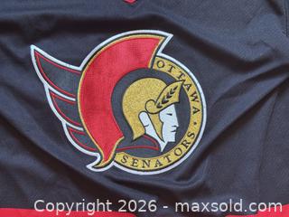 MaxSold Auction: Ottawa Senators CCM & Maska Large Hockey Jersey - Ottawa (Ontario, Canada) PARTNER MANAGED Estate Sale Online Auction - Bongard Avenue (STORAGE)