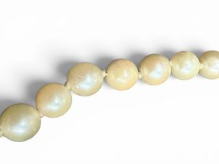 MaxSold Auction: 14k Gold Clasp Pearl Necklace - 6mm, 18.5" Length, 22.7g - Esquimalt (British Columbia, Canada) PARTNER MANAGED Reseller Online Auction - Lampson Street