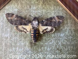 MaxSold Auction: Framed specimen of a Death's-head Hawkmoth - Windsor (Ontario, Canada) SELLER MANAGED Reseller Online Auction - Byng Road